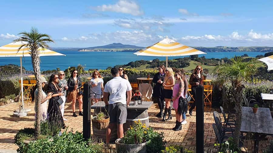Waiheke Island: Scenic Island Wine Tour & Local Wine Tasting - Choose between two very different tour styles