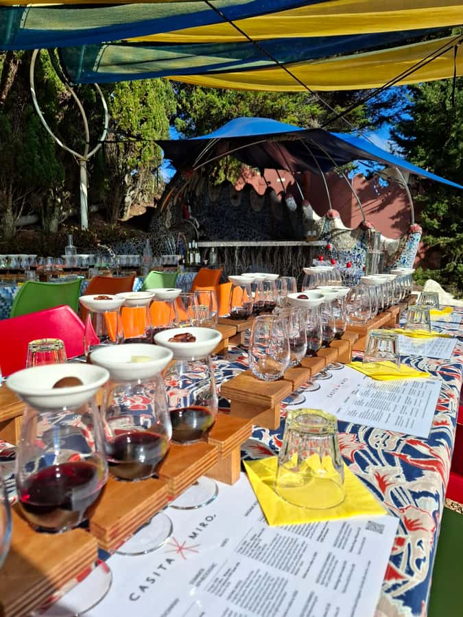 Waiheke Island: Sip and Savor 3 Vineyards Tour with Lunch - Key points to know before you book