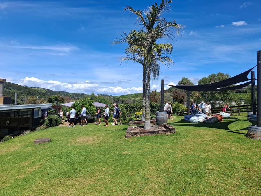 Waiheke Island: Sip and Savor 3 Vineyards Tour with Lunch - Lunch is the day’s long, relaxed stop