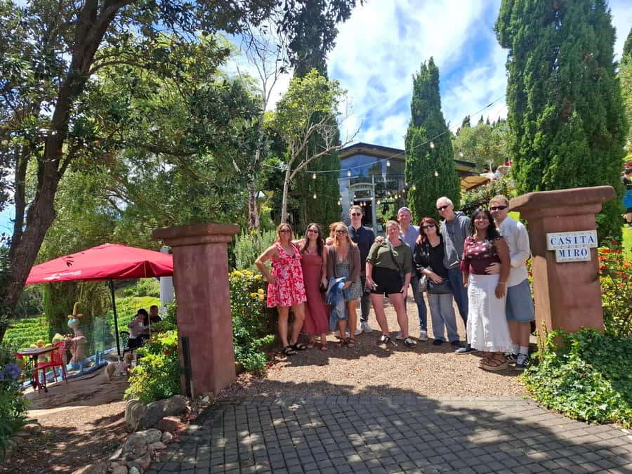 Waiheke Island: Sip and Savor 3 Vineyards Tour with Lunch - Small-group transport keeps the day manageable