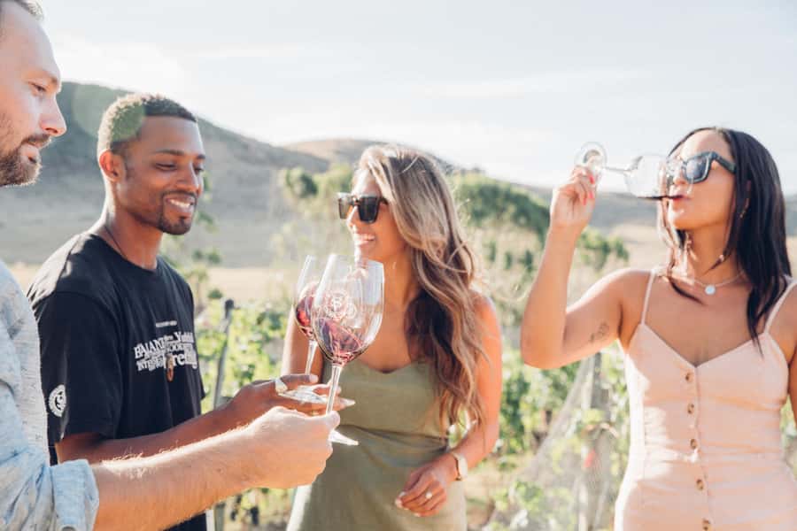Waiheke Island: Wine Tour & Lunch at Award Winning Venue - Why this tour works well from Auckland