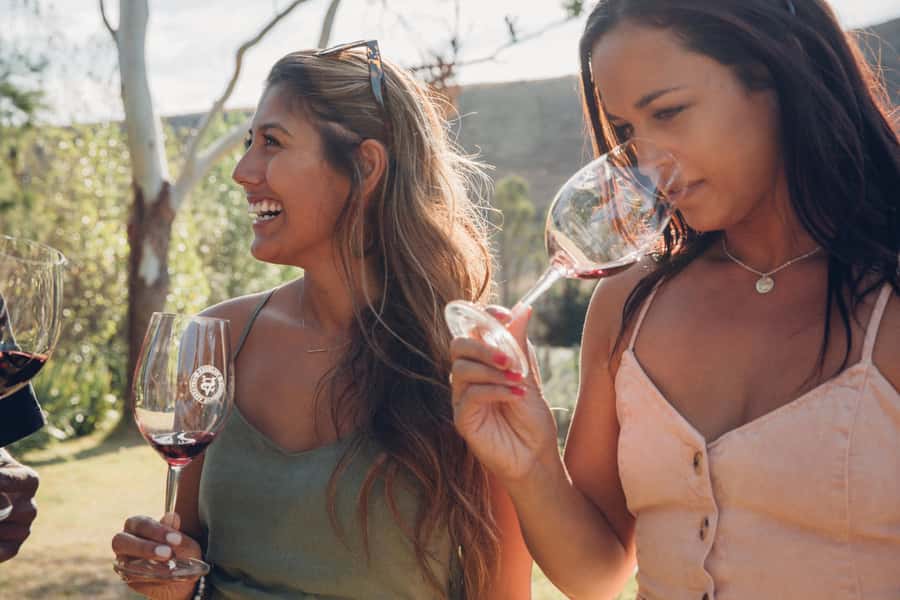 Waiheke Island: Wine Tour & Lunch at Award Winning Venue - Who should book this Waiheke day?