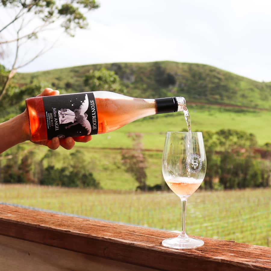 Waiheke Island: Wine Tour & Lunch at Award Winning Venue - Lunch at 372 beside Onetangi Beach