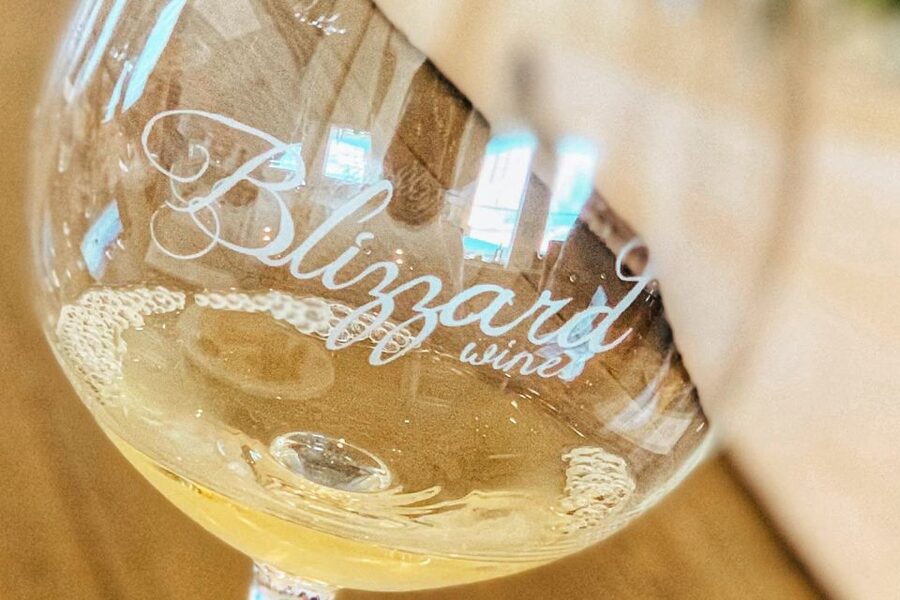 Willamette Valley Wine Tour - The price: fair, but budget for the tastings