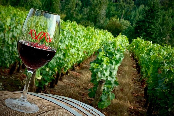 Willamette Valley Wine Tour from Portland - The pace inside the tasting rooms