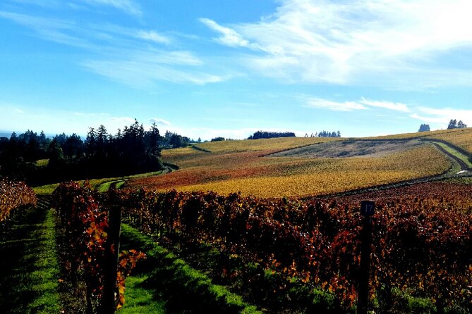 Willamette Valley Wine Tour with Lunch - The real price of the day