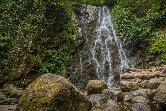 Wine and Dine Tour To Batumi Waterfalls - Mountainous Adjara - The guides make the difference