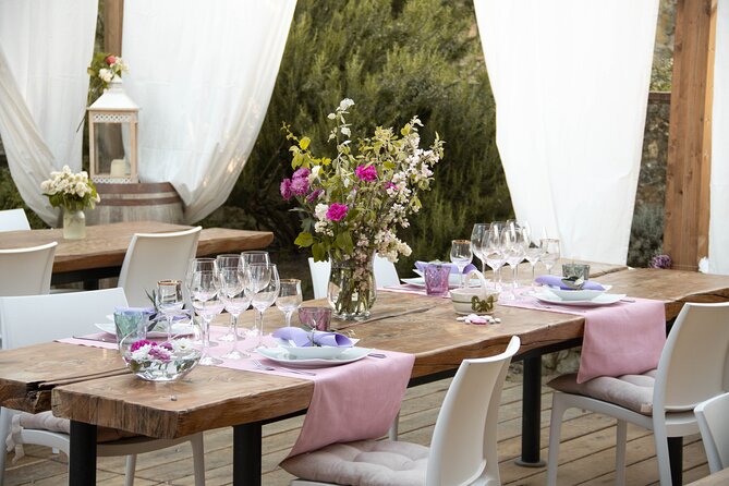 Wine and food tasting in an organic family winery - Price, transport, and practical value
