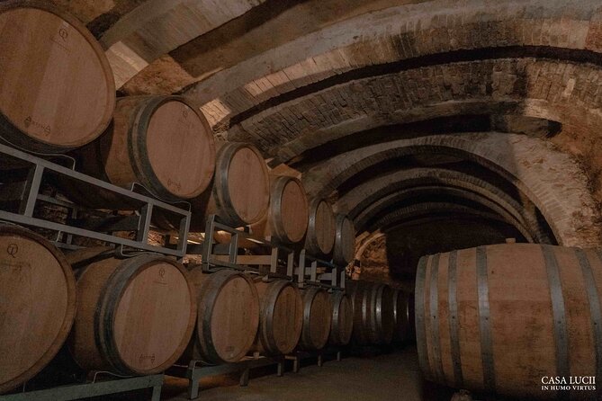 Wine and food tasting in an organic family winery - Who should book this Casa Lucii experience?