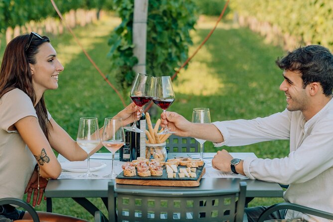 Wine and Food Tasting in the Vineyards in Lazise - Key points to know before booking