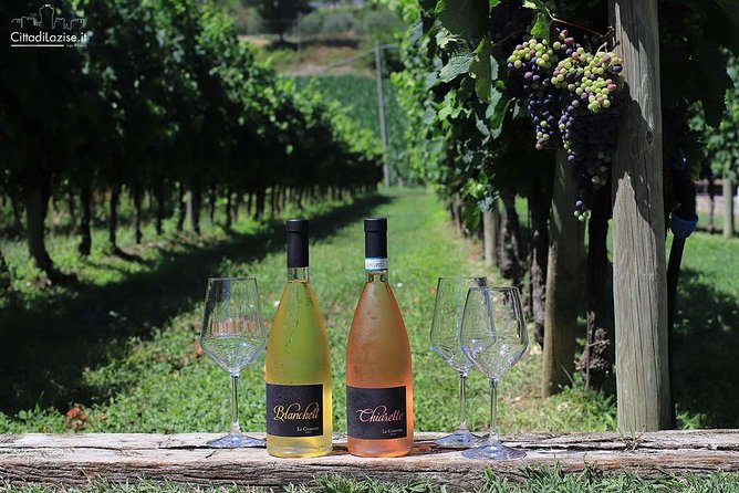 Wine and Food Tasting in the Vineyards in Lazise - Sitting among the vines when the weather cooperates