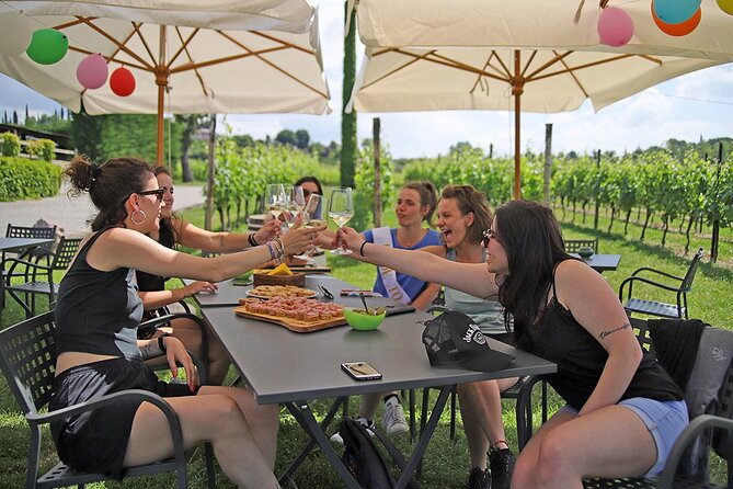 Wine and Food Tasting in the Vineyards in Lazise - What the $50.81 price really buys you