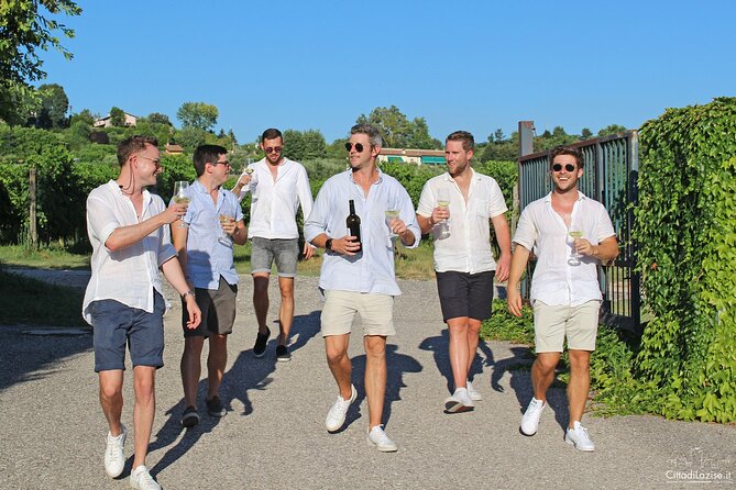 Wine and Food Tasting in the Vineyards in Lazise - Who will enjoy this Lazise wine tasting?