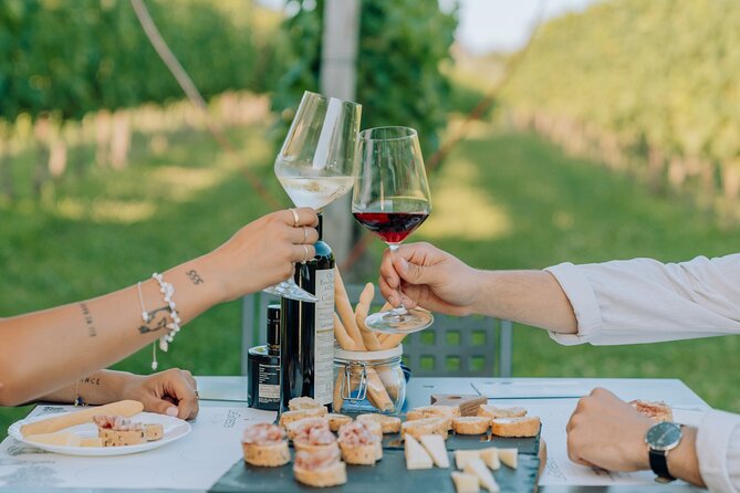 Wine and Food Tasting in the Vineyards in Lazise - Practical details that can save you trouble