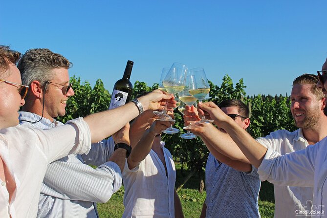 Wine and Food Tasting in the Vineyards in Lazise - Seeing how Lake Garda grapes become wine