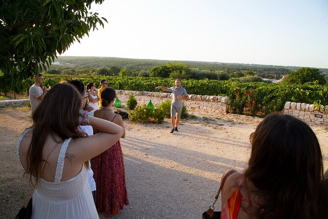 Wine Experience: vineyard, wines and food - The food is local, but not a full meal