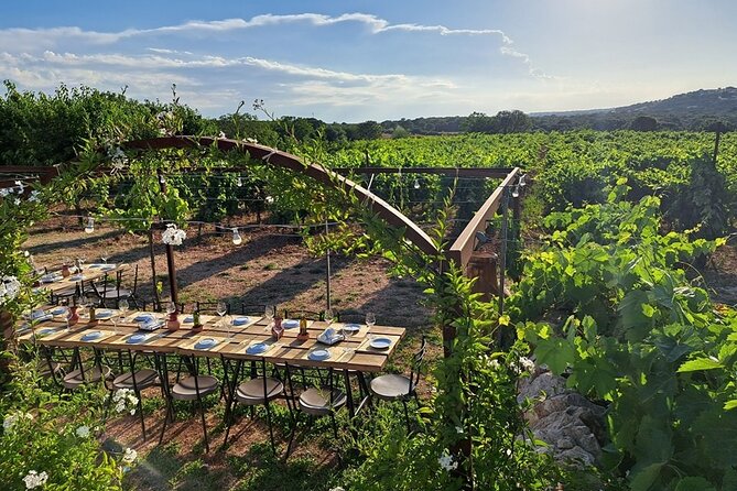 Wine Experience: vineyard, wines and food - Sunset, shared tables, and the social side