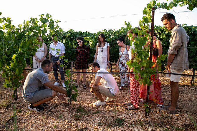 Wine Experience: vineyard, wines and food - Getting there and getting home safely