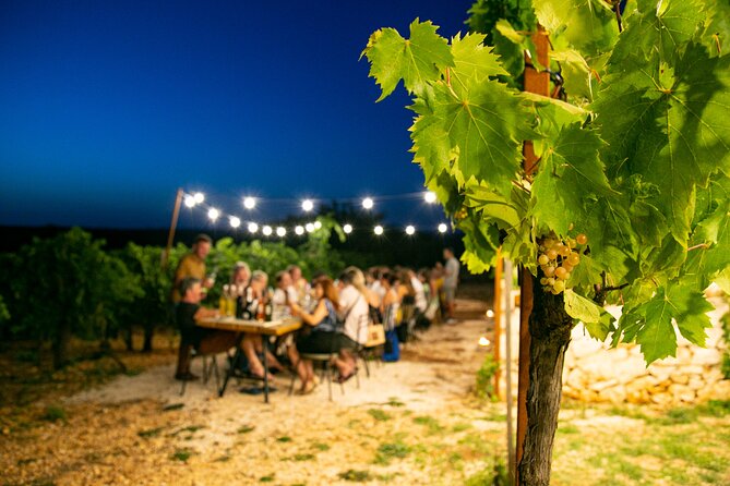 Wine Experience: vineyard, wines and food - Four wines with a taste of Puglia