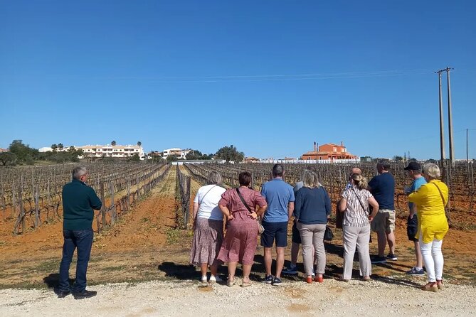 Wine Lovers: Winery Tour w/ Tasting & Tapas (Albufeira/Vilamoura) - How the timing and transport work