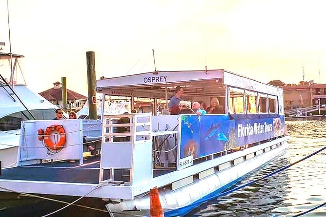 Wine Tasting Cruise in St. Augustine - Dolphins, spoonbills, and the luck of the water