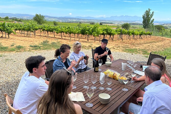 Wine Tasting in Three Boutique Wineries Tour - Max 8 people - Key details before you book