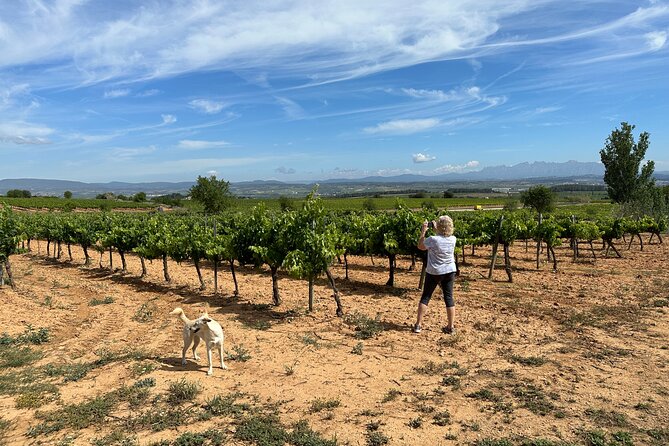Wine Tasting in Three Boutique Wineries Tour - Max 8 people - Why the Penedès makes a good day trip