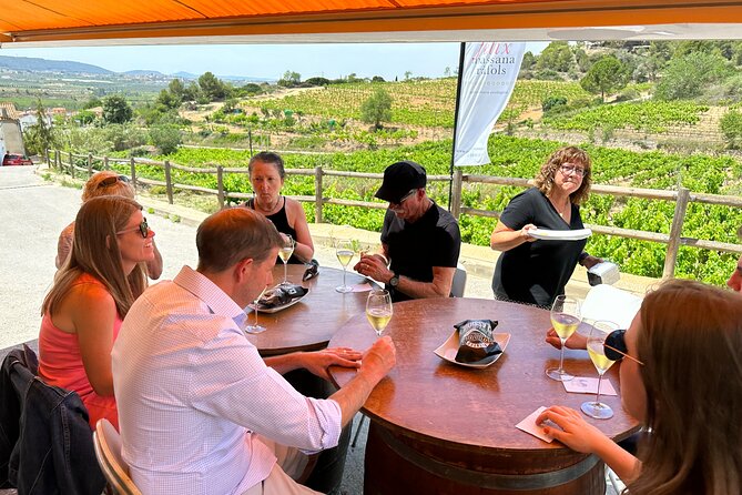 Wine Tasting in Three Boutique Wineries Tour - Max 8 people - Understanding the cava side of the tour