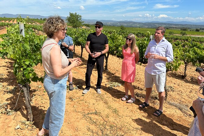 Wine Tasting in Three Boutique Wineries Tour - Max 8 people - Price, timing, and practical value