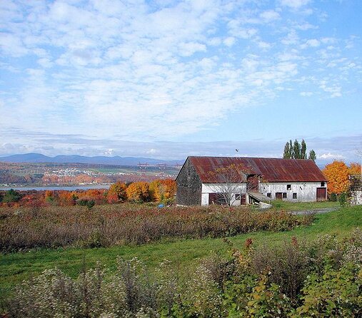 Wine Tasting on Ile d'Orleans - Key points to know before booking