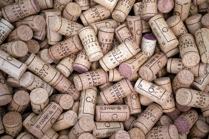Wine tasting THE CLASSICS - Who will enjoy this experience most