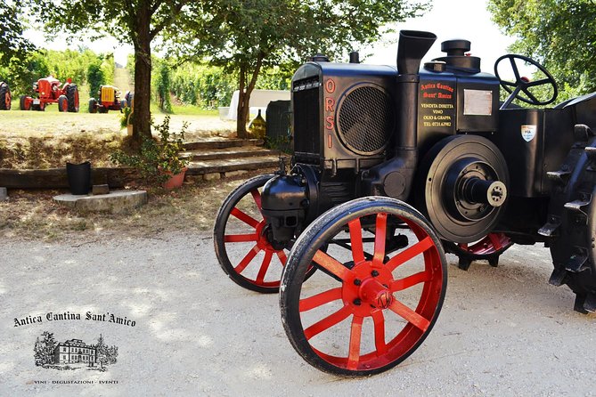 Wine Tour and Tasting at Le Marche's Oldest Wine Estate - Three wines from the Ancona area