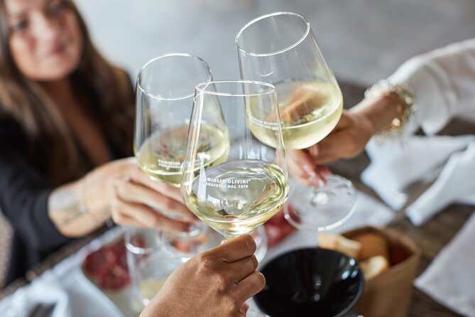 Wine Tour and Tasting of Lugana Wines in Desenzano - Starting at Famiglia Olivini in Desenzano