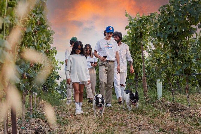 Wine Tour and Tasting of Lugana Wines in Desenzano - San Martino della Battaglia and Torre di San Martino