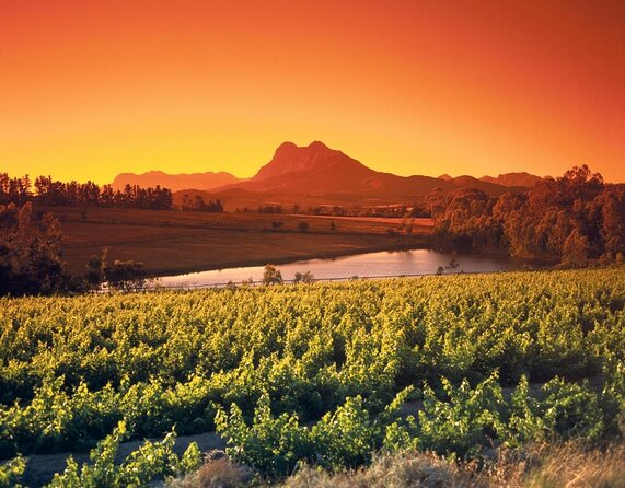 Wine Tour: Paarl, Franschhoek & Stellenbosch incl 3 wineries - The people and pace shape the day