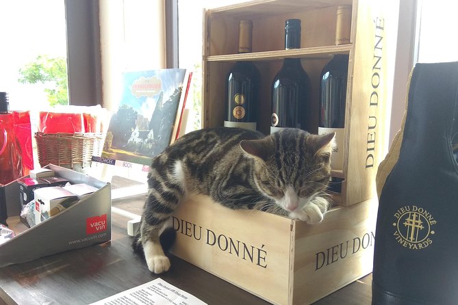 Wine Tour to Stellenbosch & Franschhoek with Tastings & Lunch - The drive to Fairview in Paarl