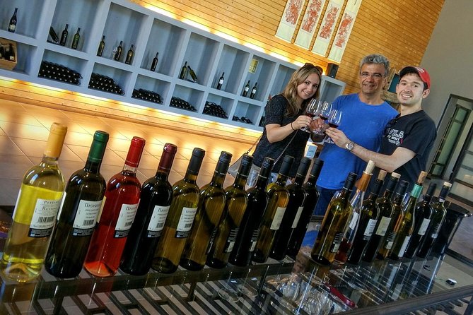 Wine Trails Private Tour/ Nemea visit 3 wineries from Athens or Nafplion (10 h) - Ancient Nemea adds real substance to the day