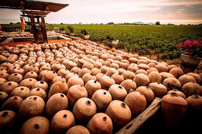 Winery and Pisco Distillery tour - What the $30.77 price really covers