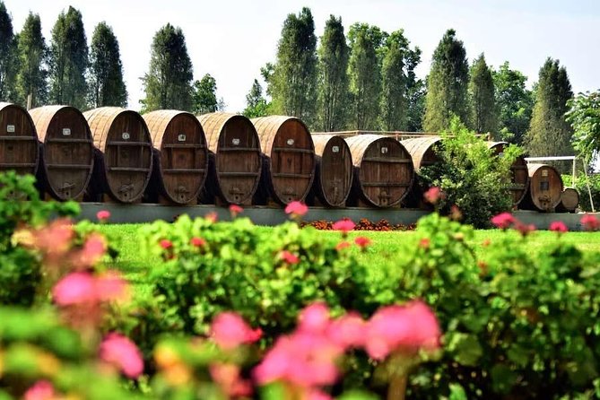 Winery and Pisco Distillery tour - Who will enjoy this pisco route most