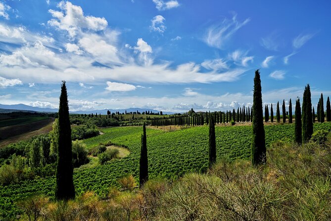 Winery tour & wine tasting in Montalcino - Who should book this winery visit?