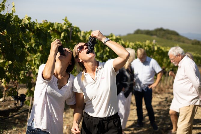 Winery tour & wine tasting in Montalcino - Booking details worth checking