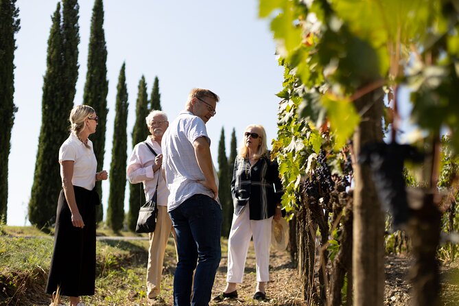 Winery tour & wine tasting in Montalcino - Should you book Corte Pavone?