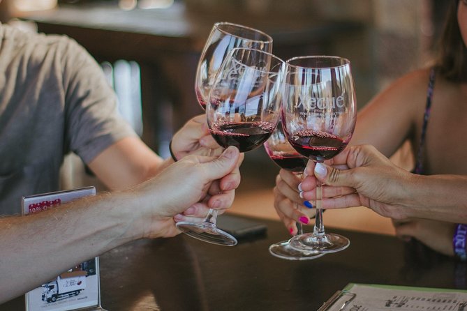 Xecue Wine Tasting in the Guadalupe Valley - Timing, meeting point, and practical planning