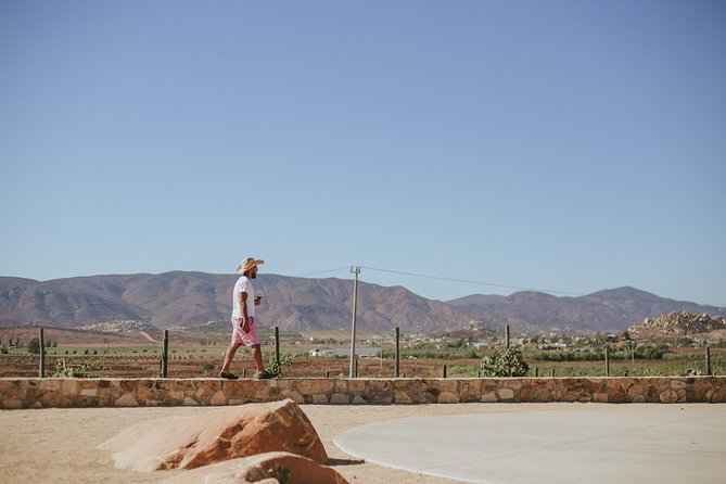 Xecue Wine Tasting in the Guadalupe Valley - Who will get the most from Xecue