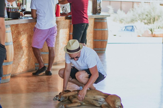 Xecue Wine Tasting in the Guadalupe Valley - Should you book the Xecue tasting?