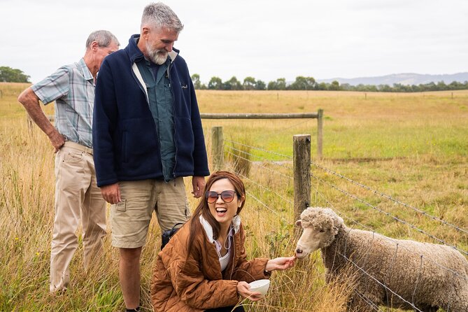 Yarra Valley Grazing Tour Wine, Cheese, Gin, Pizza from Melbourne - Healesville for coffee and a breather