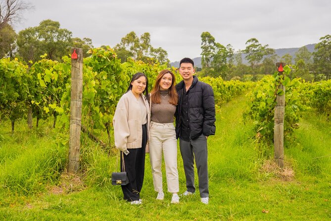 Yarra Valley Grazing Tour Wine, Cheese, Gin, Pizza from Melbourne - What the $135.56 price really covers
