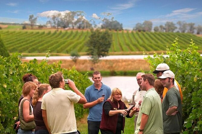 Yarra Valley Wine & Winery Tour from Melbourne - All Inclusive! - Key points to know before booking